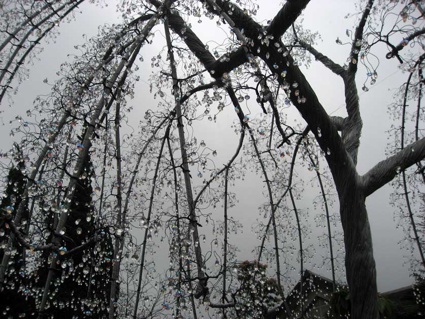 Glass Forest, Hakone, Japan.