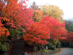 Gokanosho in Kyushu.