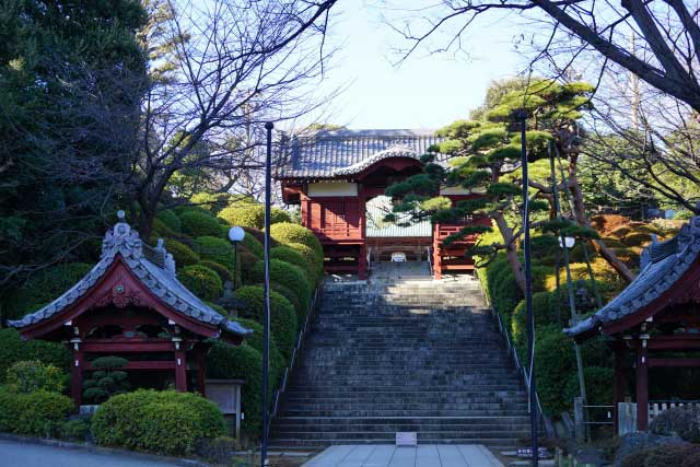 Gokokuji Temple, Tokyo.