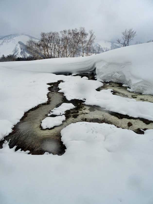 Natural Hot Spring in the Snow.