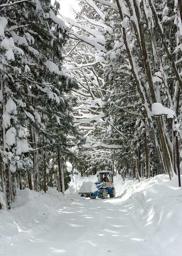 Hakuba guide, Nagano.