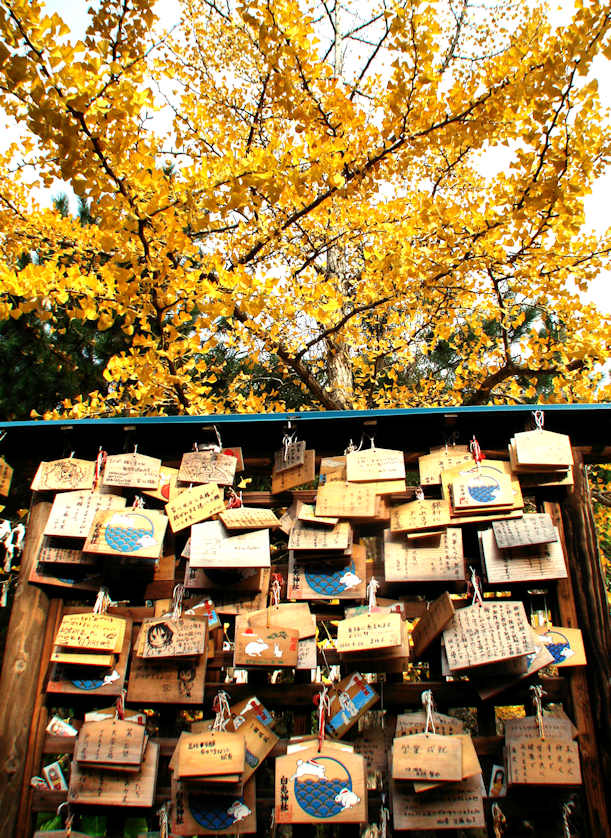 Hakuto Shrine, Tottori City.