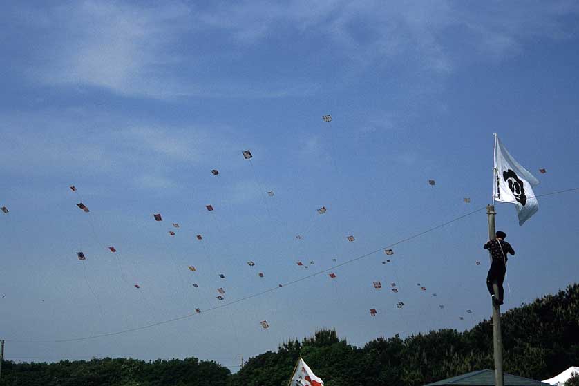 Hamamatsu Festival, Shizuoka Prefecture.