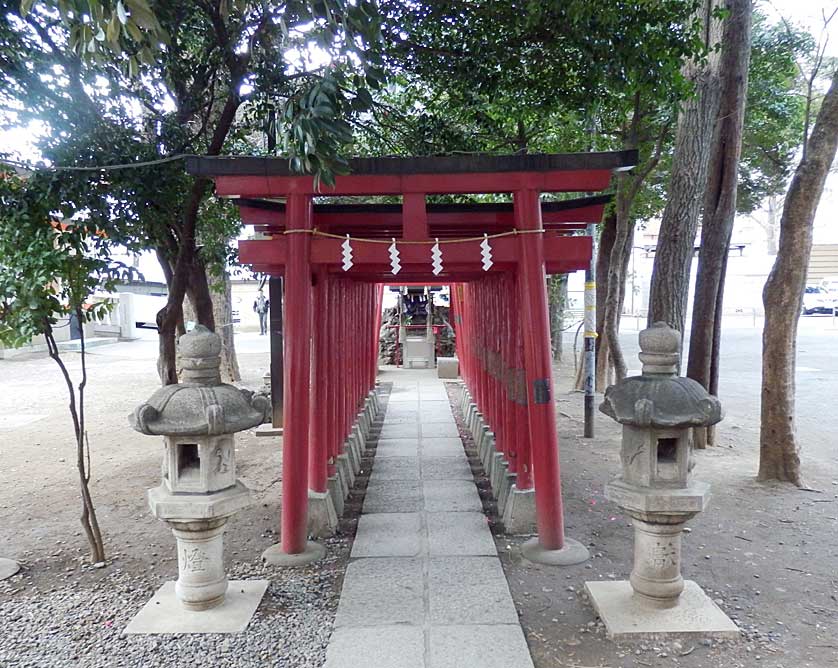 Itoku Inari Shrine at Hanazono Shrine, Shinjuku.