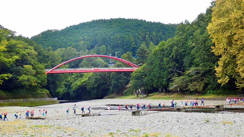 Children on a school trip cross the Iruma River on the Hanno-gawara river bank, Saitama Prefecture, Kanto, Japan.