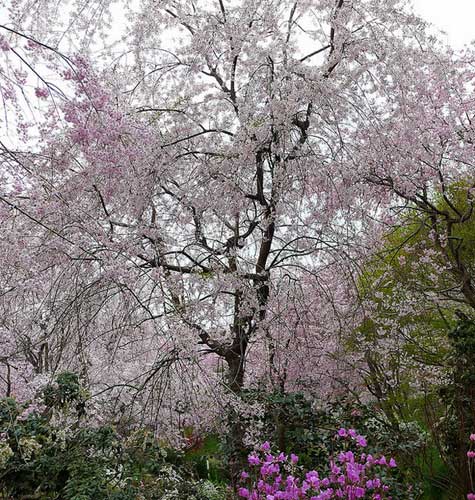 Haradani-en, Kyoto, Japan.