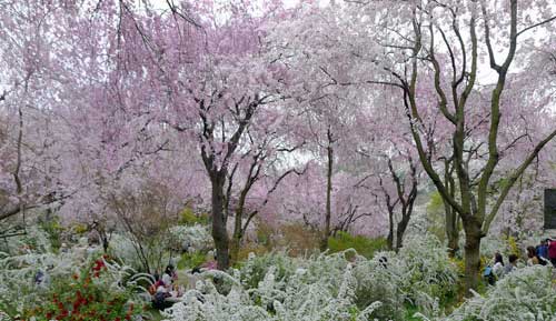 Haradani-en, Kyoto, Japan.