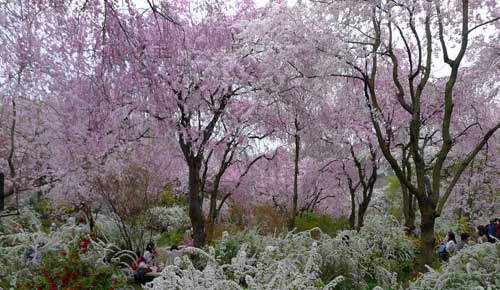 Haradani-en, Kyoto, Japan.