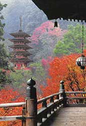 Hasedera Temple, Nara, Nara Prefecture.