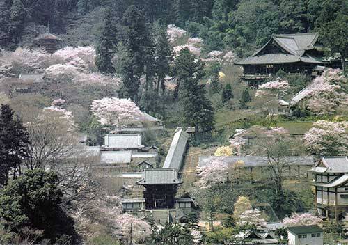 Hasedera Temple, Nara, Japan.