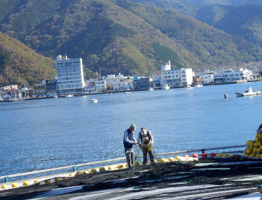 Fishermen repairing nets, Heda, Izu Peninsula, Shizuoka Prefecture.
