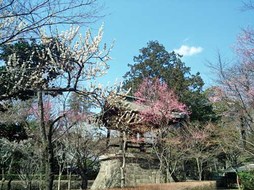 Heirinji Temple, Saitama, Japan