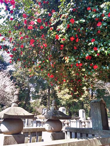 Heirinji Temple, Saitama, Japan