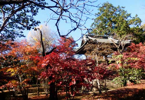 Heirinji Temple, Saitama Prefecture, Japan