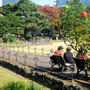 Read more about Hibiya Park, Tokyo.