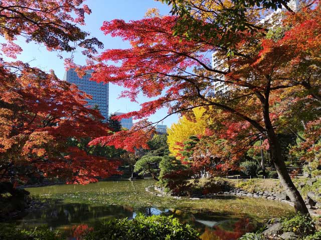 Willow, pine and pond in Hibiya Park, Tokyo.