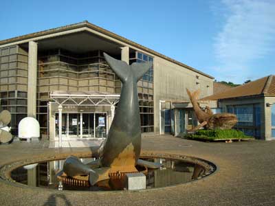 Ikitsuki Island Museum Shima no Yakata.