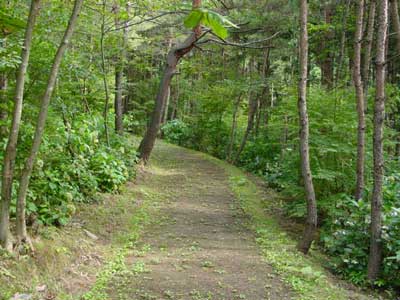 Chusonji to Motsuji trail, Hiraizumi, Japan.