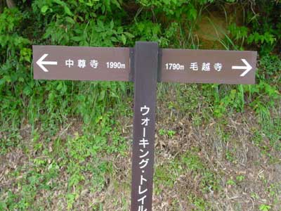 Chusoji to Motsuji trail, Hiraizumi, Tohoku.