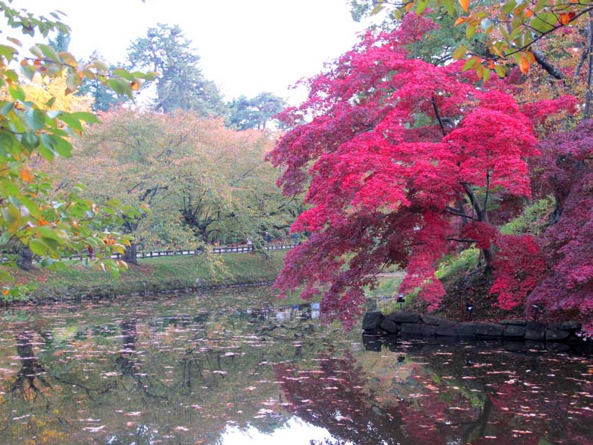 Fall Leaves, Hirosaki Castle, Aomori.