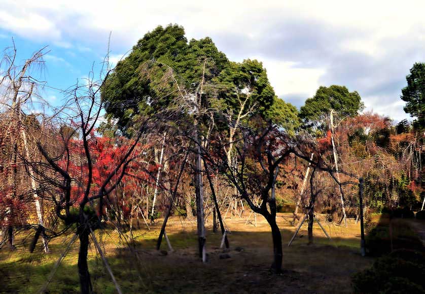 Heian Jingu Gardens, Kyoto, Japan.