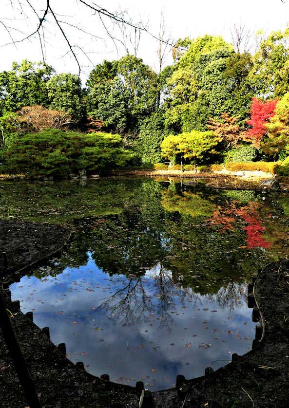 Byakko Ike Pond in the East Garden, Kyoto, Japan.