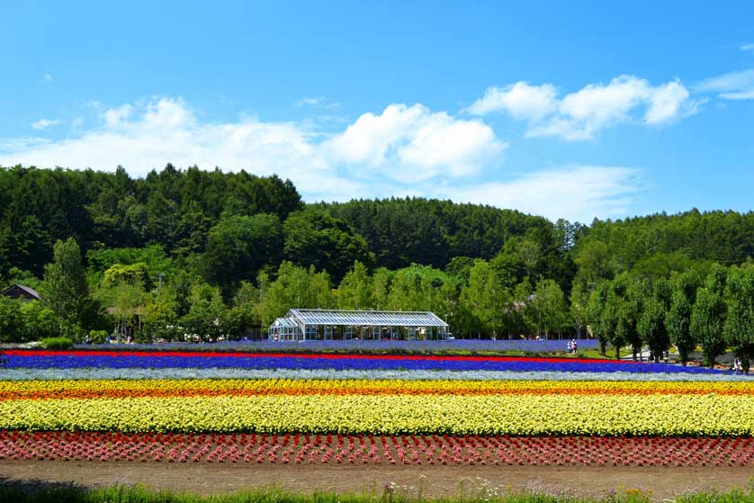 Lavender and other floral fields at Tomita Farm in Furano, Hokkaido.