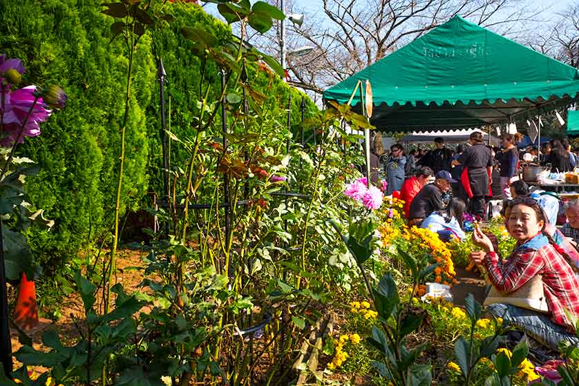 Holiday flower market in Japan.