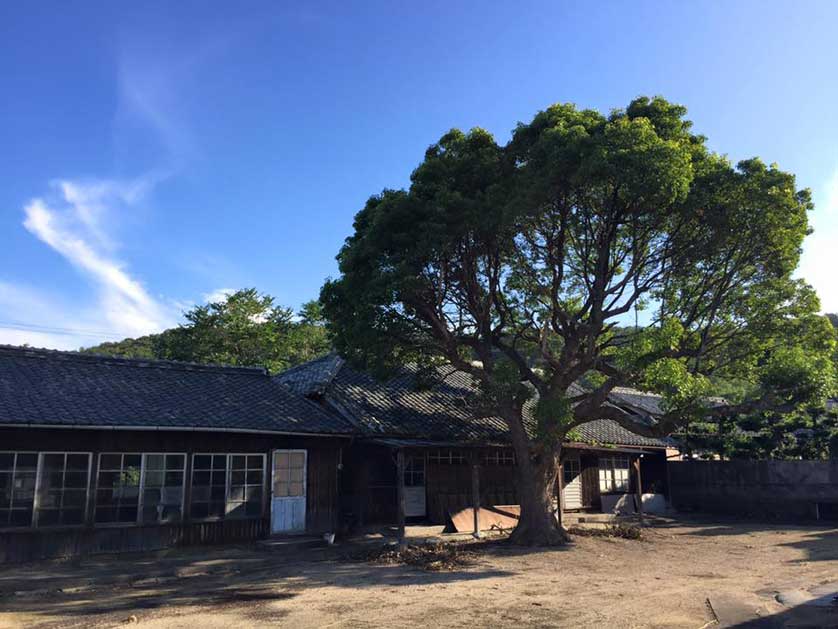 Mizumiiro Elementary School, Honjima, Japan.