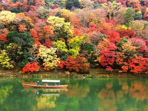 A Hozu River Boat Cruise with spectacular autumn leaves in Arashiyama.