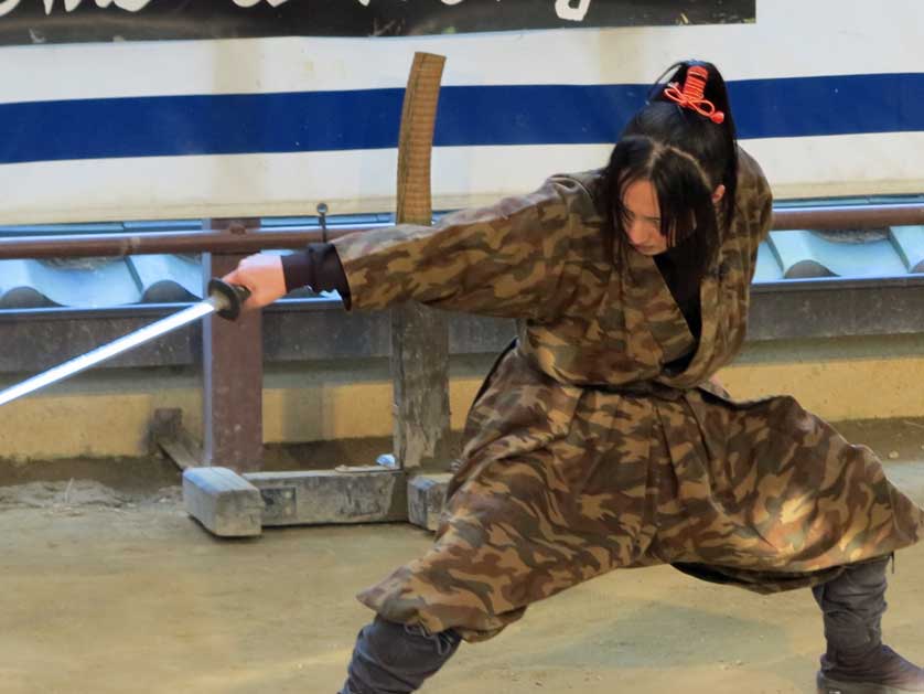 Ninja Show, Ueno Castle Park, Iga Ueno, Mie.