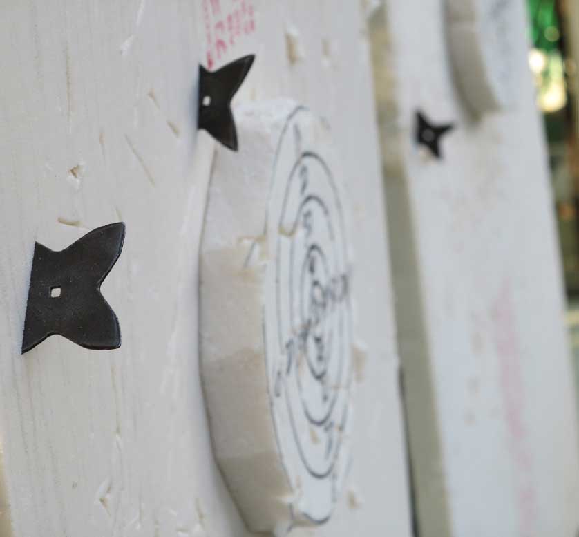 Shuriken, Ueno Castle Park, Iga Ueno.