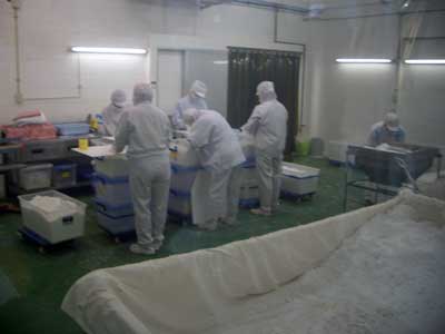 Salt Production, Ishigaki, Okinawa.