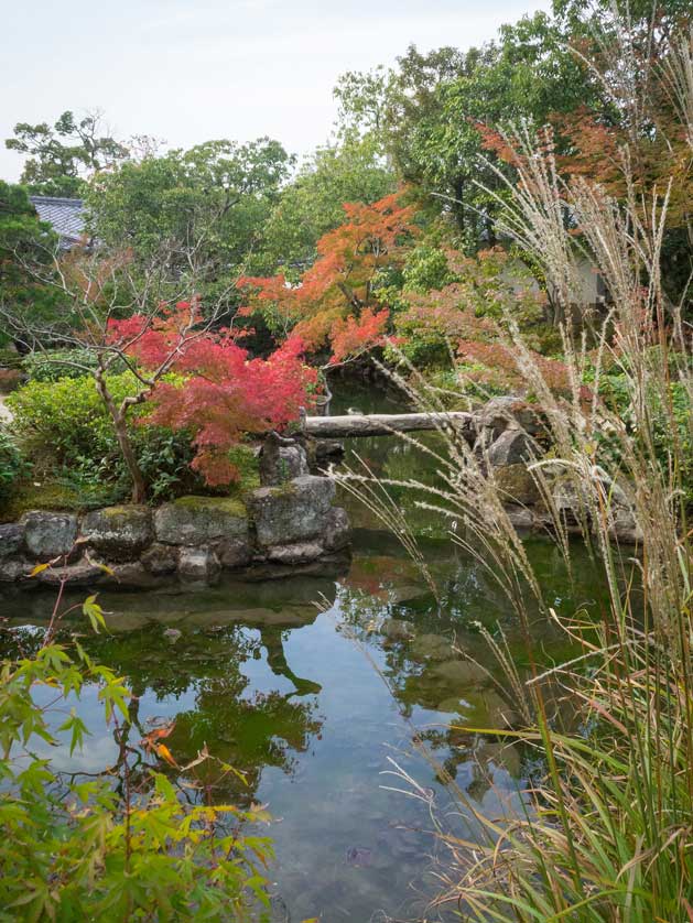 Isuien Garden, Nara, Japan.