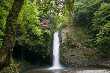 Jyoren-no-taki waterfall, Izu Peninsula, Japan.
