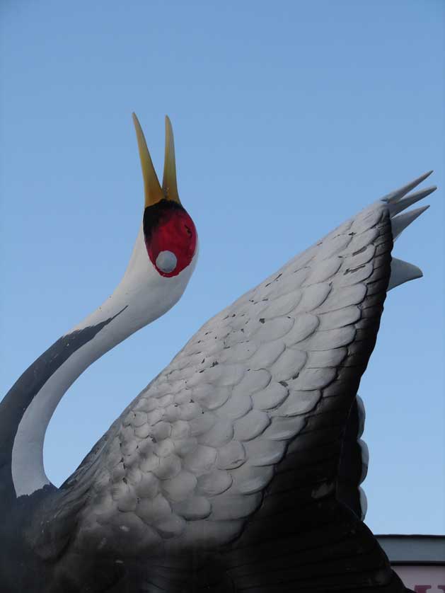 Cranes at Izumi, Kagoshima, Kyushu, Japan.