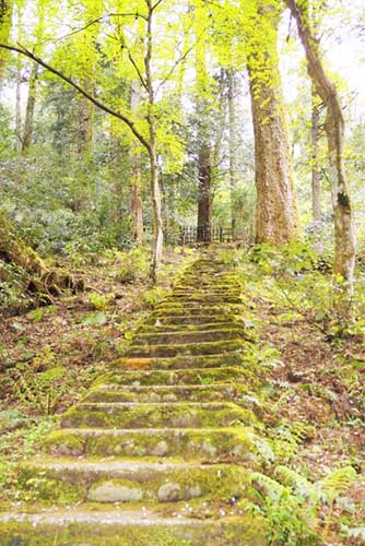 Jakko-in Temple, Ohara, Kyoto.