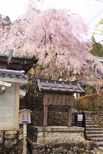 Jakko-in Temple, Ohara, Kyoto.