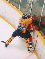 Japan ice hockey.