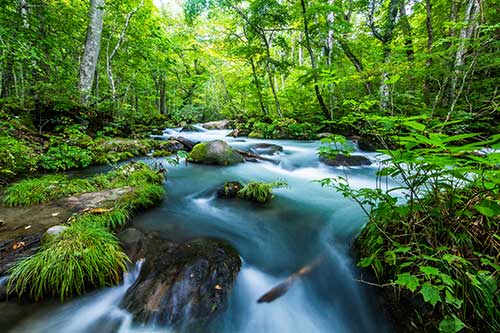 Oirase Gorge, Oirase River, Aomori, Tohoku, Japan.