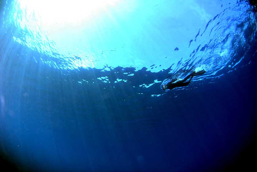 Scuba diving in Japan.