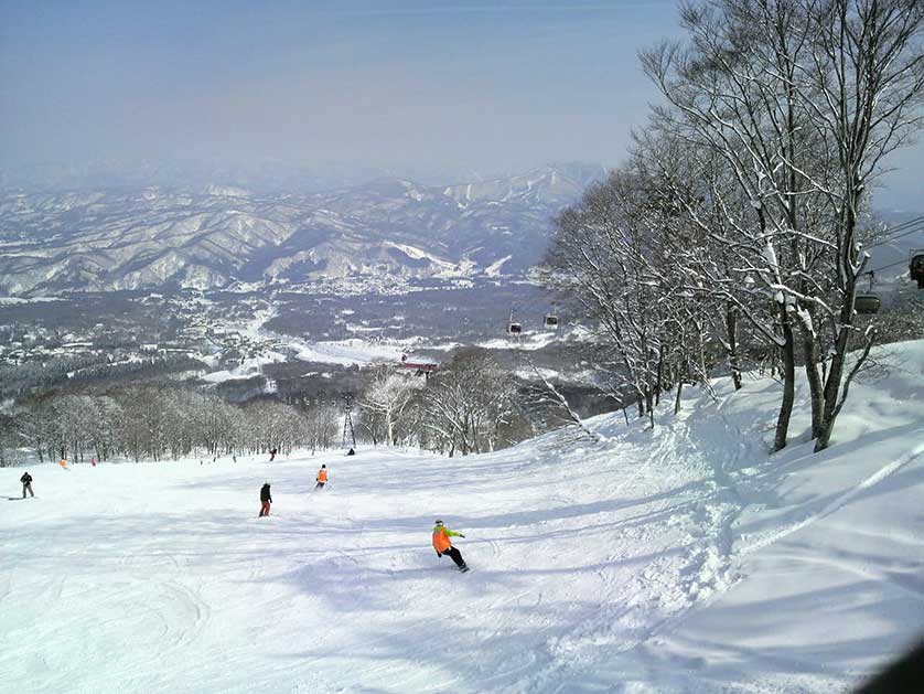 A typical winter scene from Japan's excellent ski slopes.