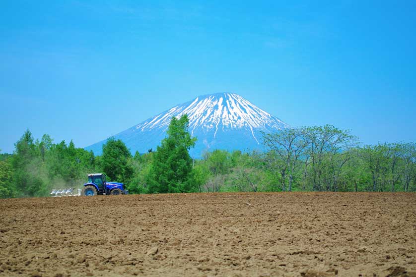 Mount Yotei, Niseko, Hokkaido, Japan.