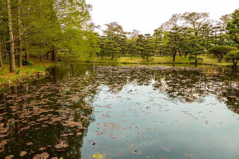 Pond, Jindai Botanical Garden, Chofu, Tokyo.