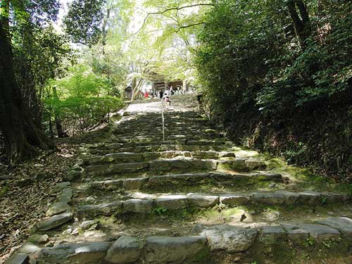 Jingoji Temple, Kyoto, Japan.