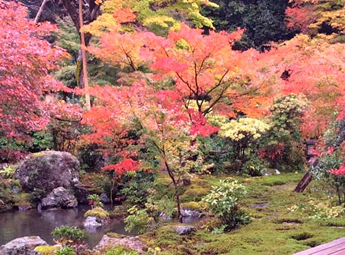 Jissoin Temple, Iwakura, Kyoto.