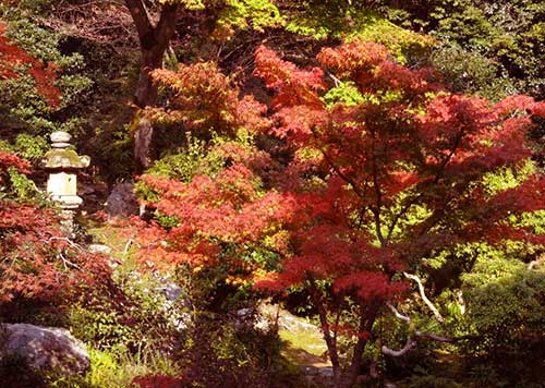 Jissoin Temple, Iwakura, Kyoto.