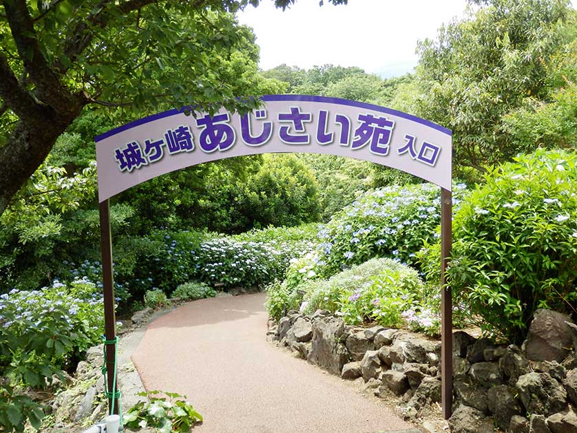 Entrance to the hydrangea section of Izu Kaiyo Park.
