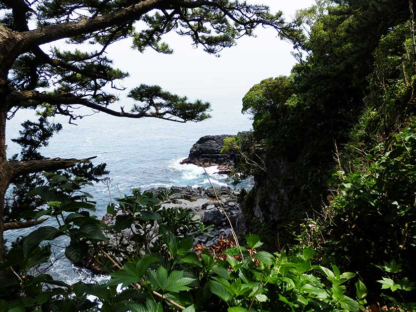 Peek towards the Jogasaki cliffs from the Jogasaki Coast hiking course.