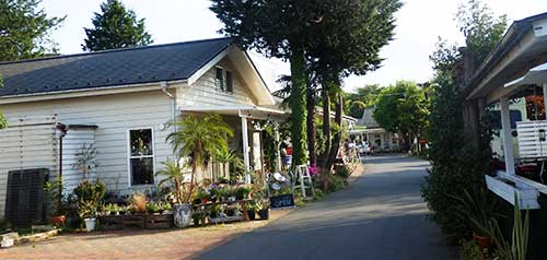 Johnson Town, Saitama Prefecture, Japan.